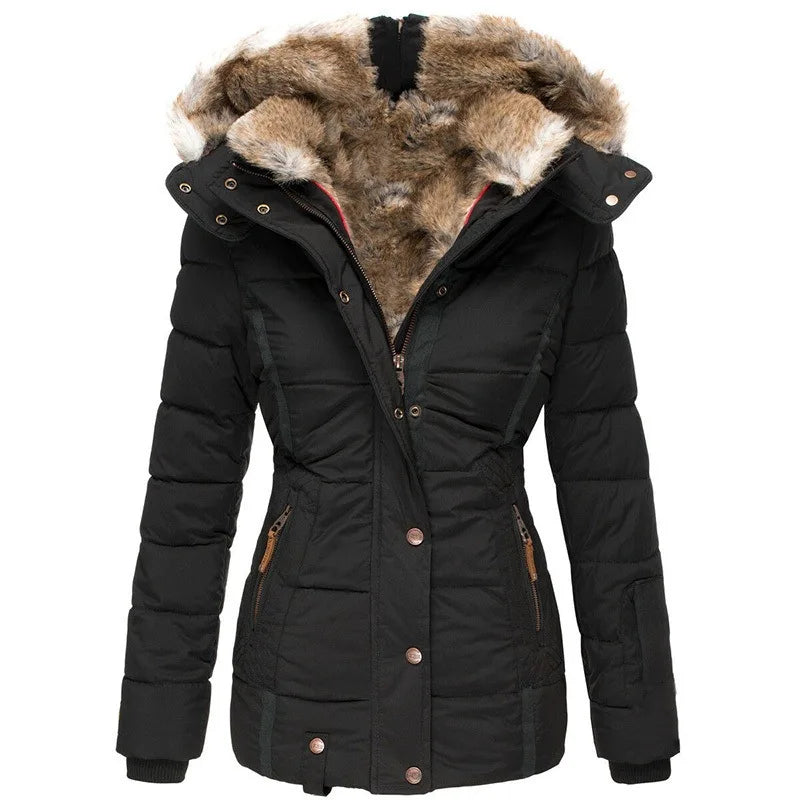 Winter Jacket Holly