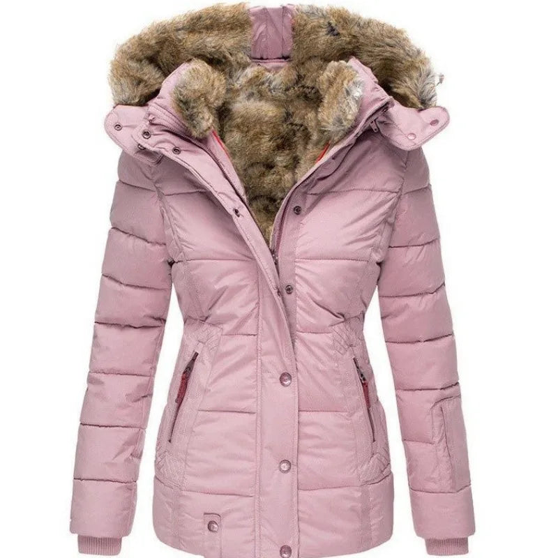 Winter Jacket Holly