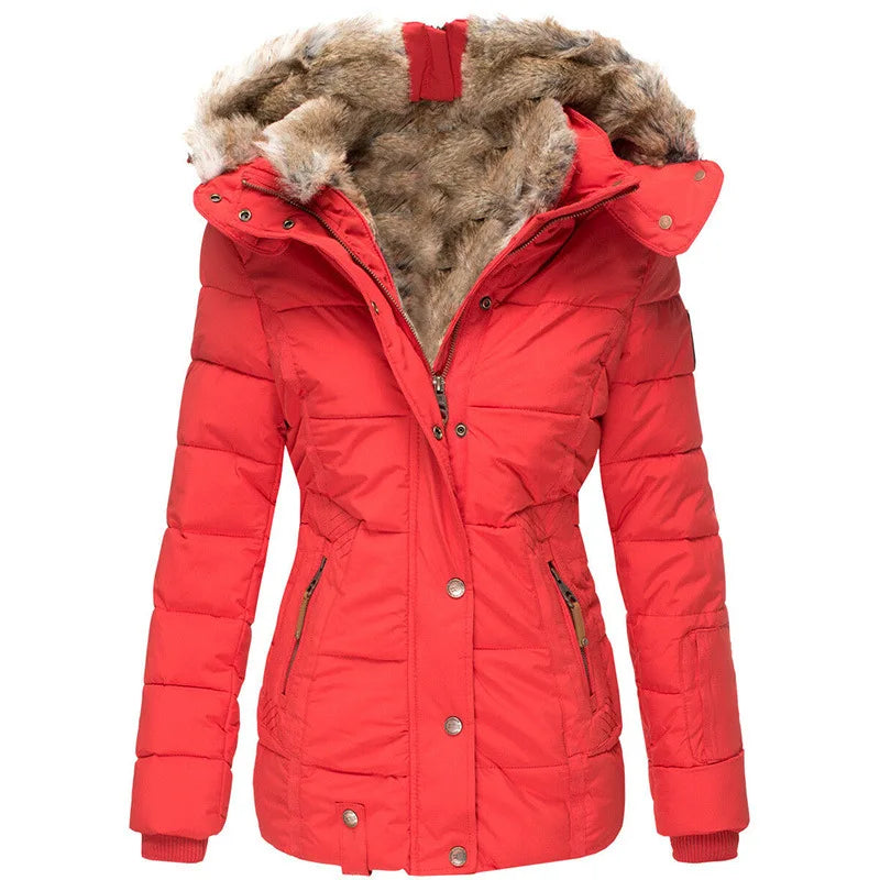 Winter Jacket Holly